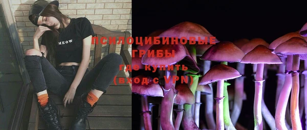 прущие крисы Аркадак