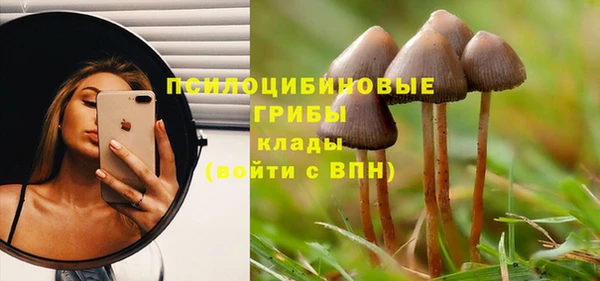 mix Арсеньев