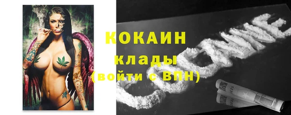 PSILOCYBIN Армянск