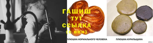 PSILOCYBIN Армянск